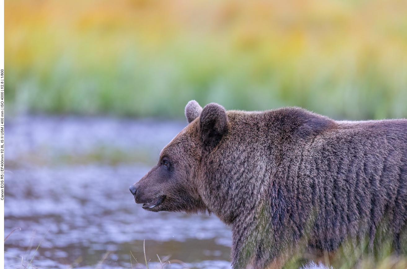 Zum Glück sind wir in einer Hütte ...