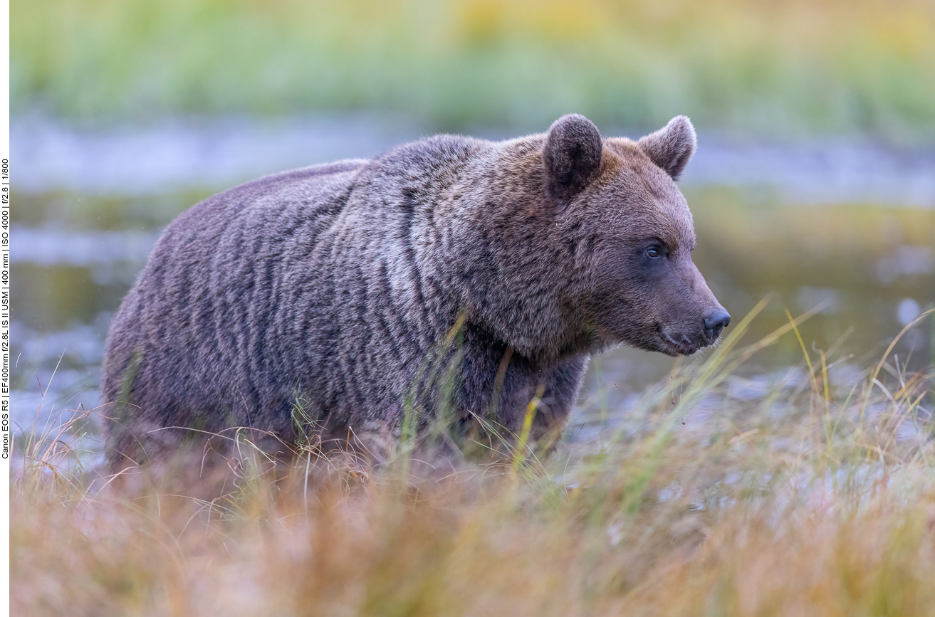 ... und er stört sich nicht daran, obwohl er uns sicher riecht