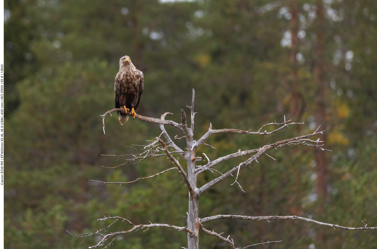 Da muss doch etwas übrig bleiben ...
