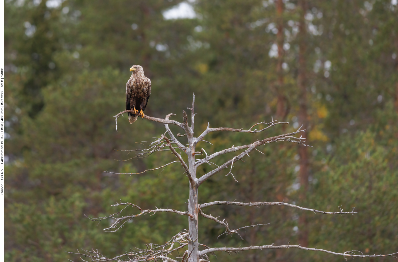 ... wir wollen ja auch satt werden
