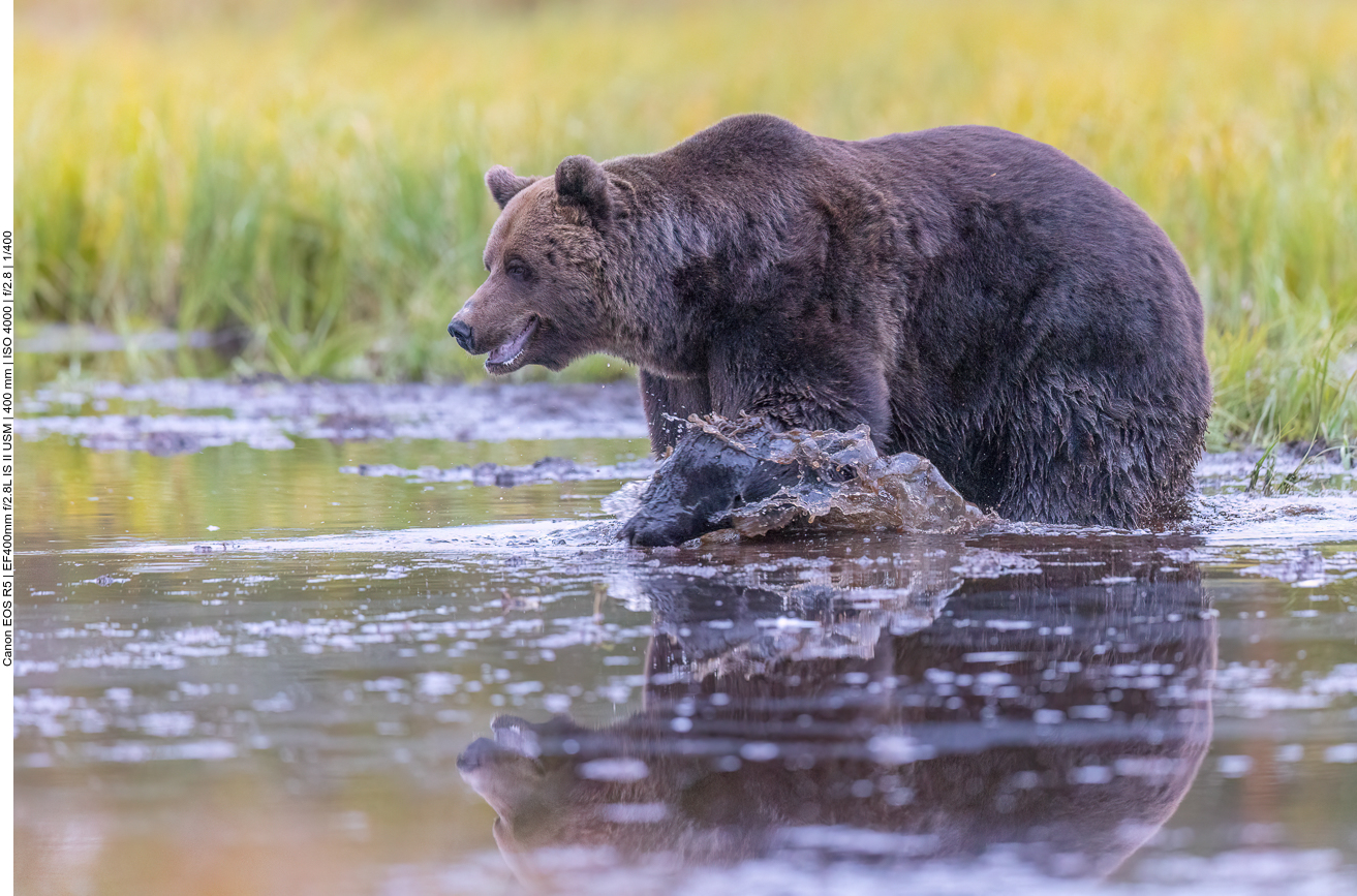 Mal schauen, ob etwas im Wasser zu finden ist