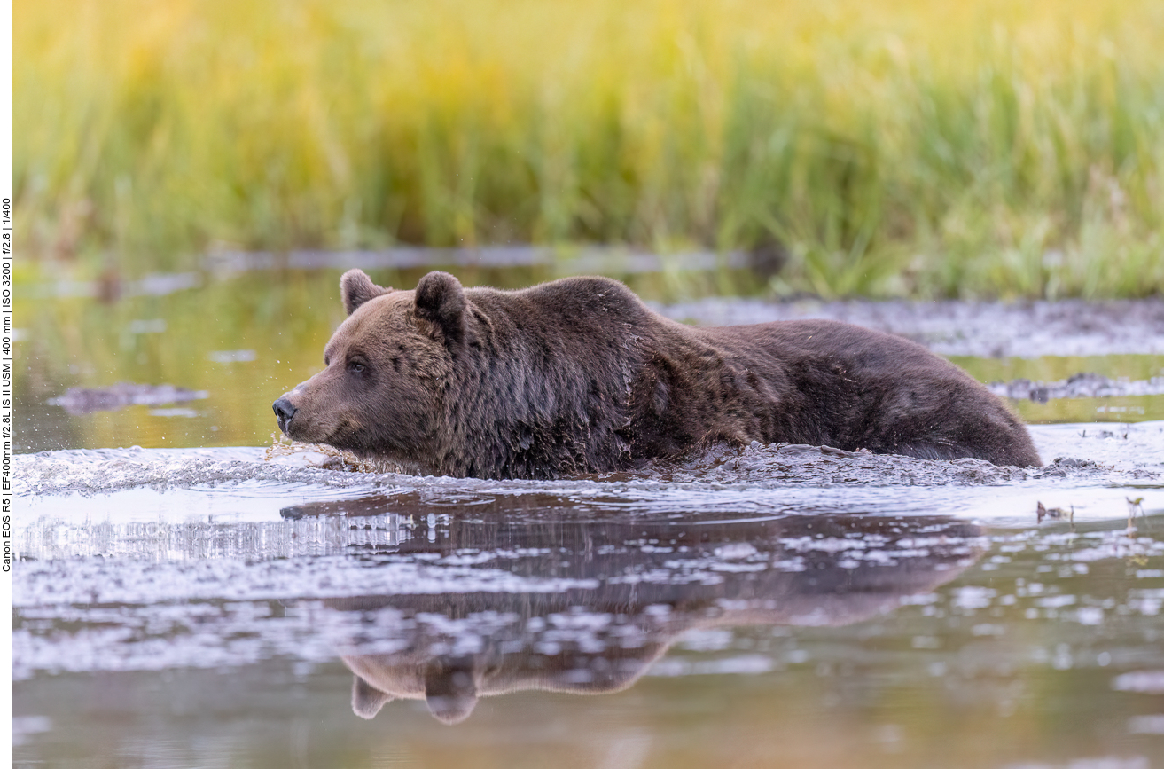 Das Wasser ist flach ...