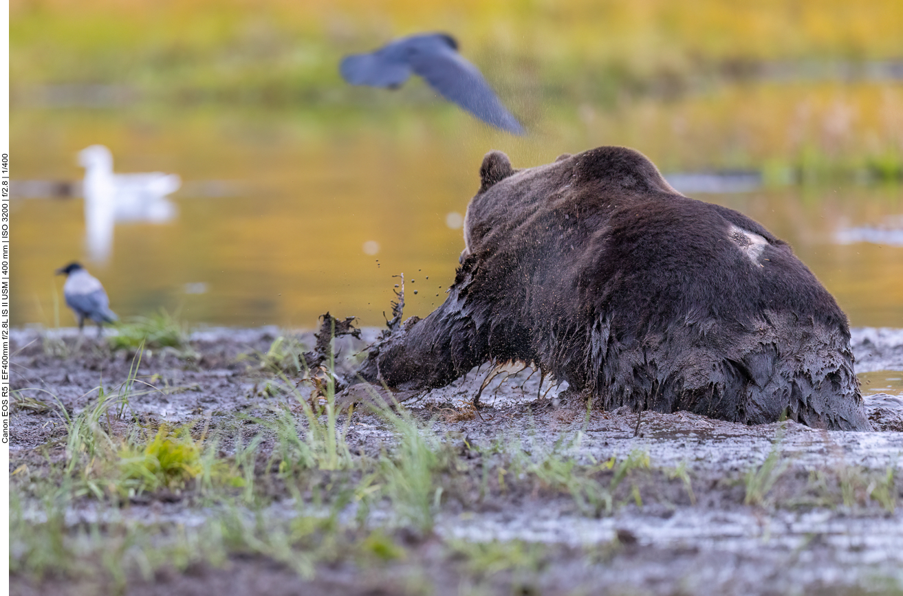 ... doch der Schlamm scheint tief zu sein