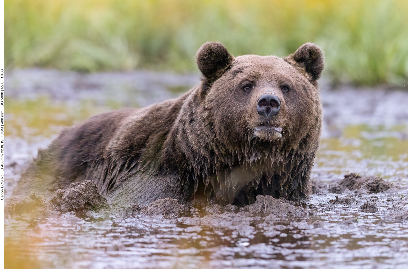 Ein letzter Blick zum Abschied