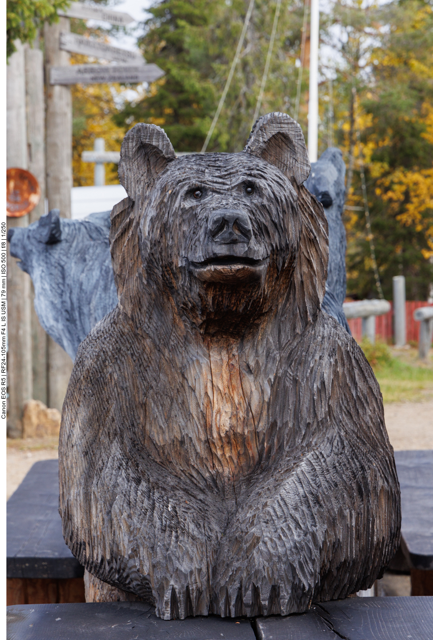 Geschnitzter Bär