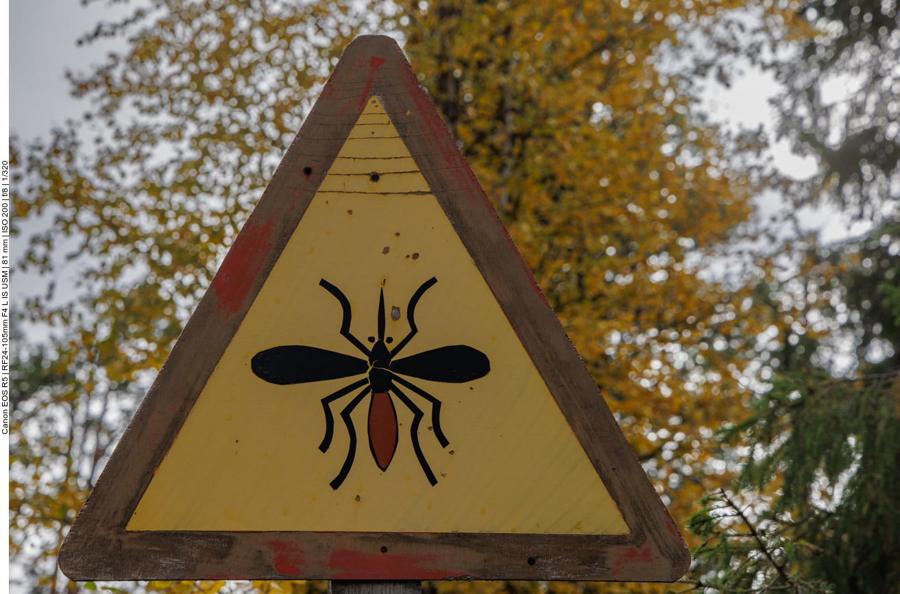 Zum Glück blieben wir davon verschont