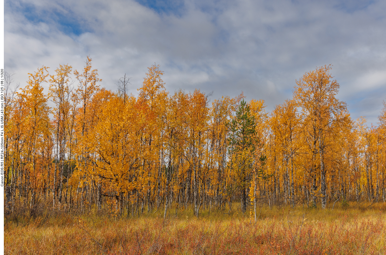 Russka, so heißt der finnische Indian Summer