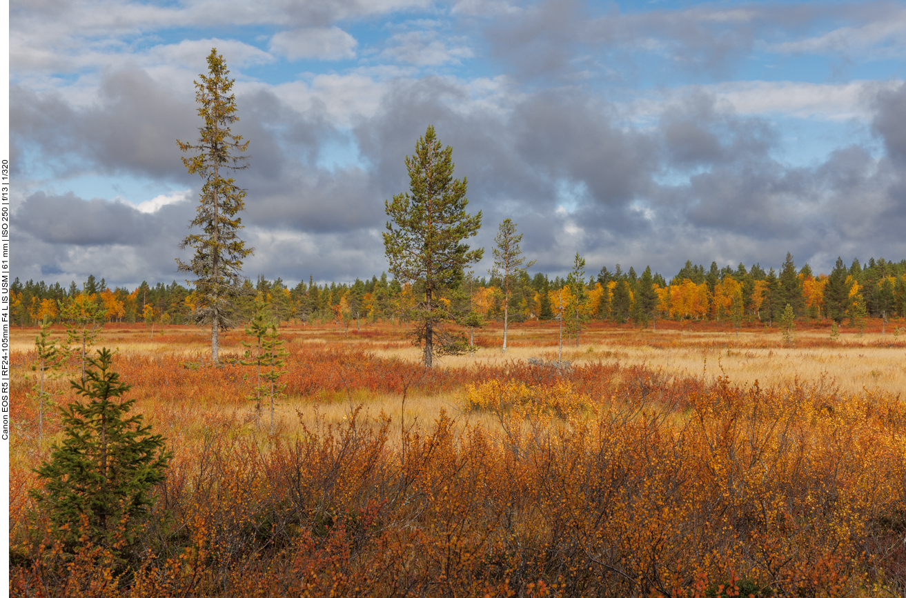 Finnland 2022: Nachbereitungen