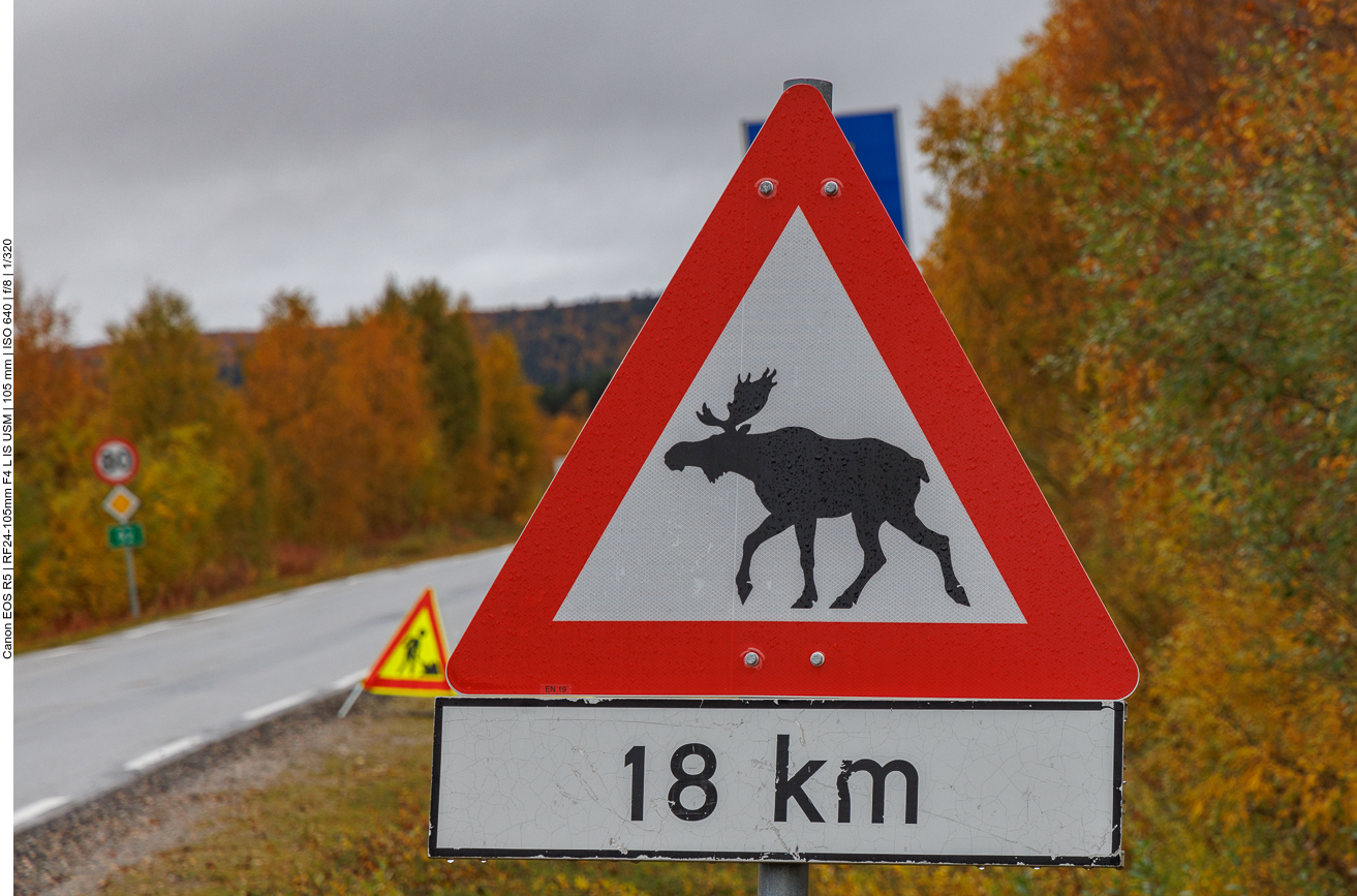 Norwegisches Elch-Warnschild