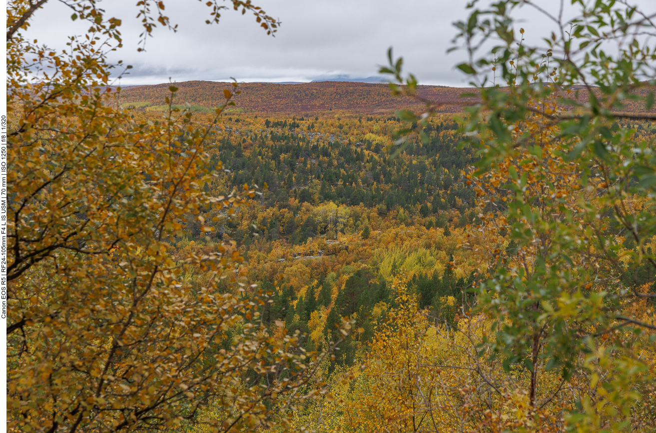 Die Landschaft ändert sich (natürlich) nicht