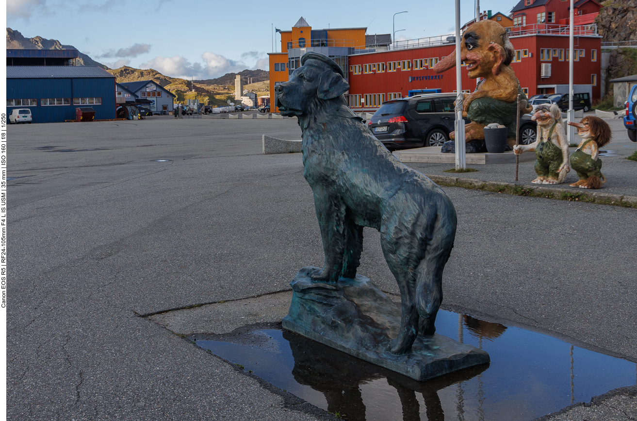 Der berühmte Schiffshund Bamse