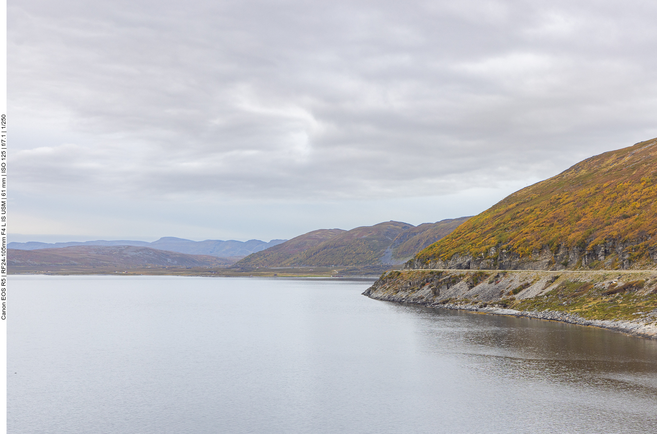Küstenstraße am Fjord entlang