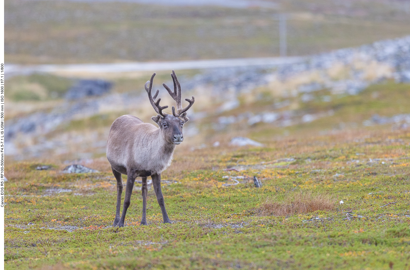 Manche glotzen schon etwas merkwürdig ;-)