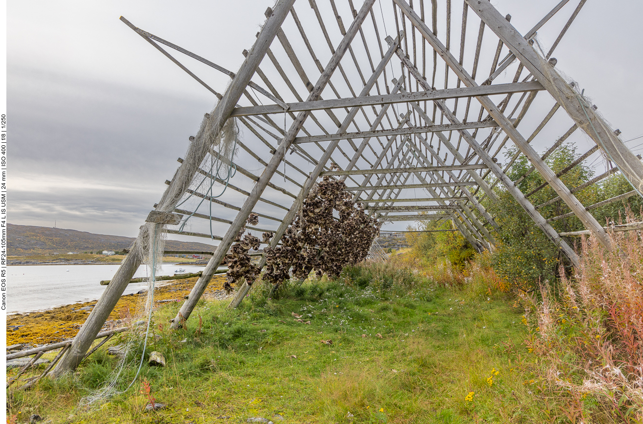 Trockengestell für Stockfisch