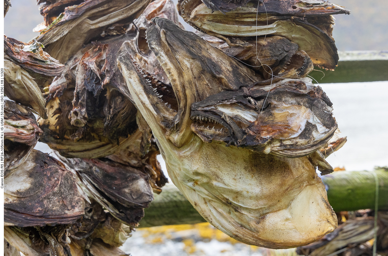 Der Geruch war nicht angenehm :-(