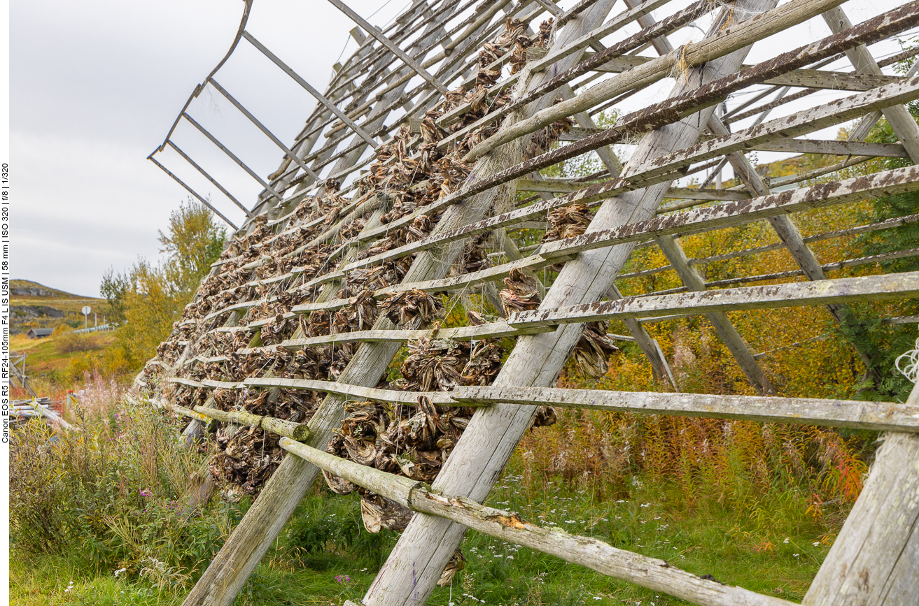 ... in der Nähe des Hafens
