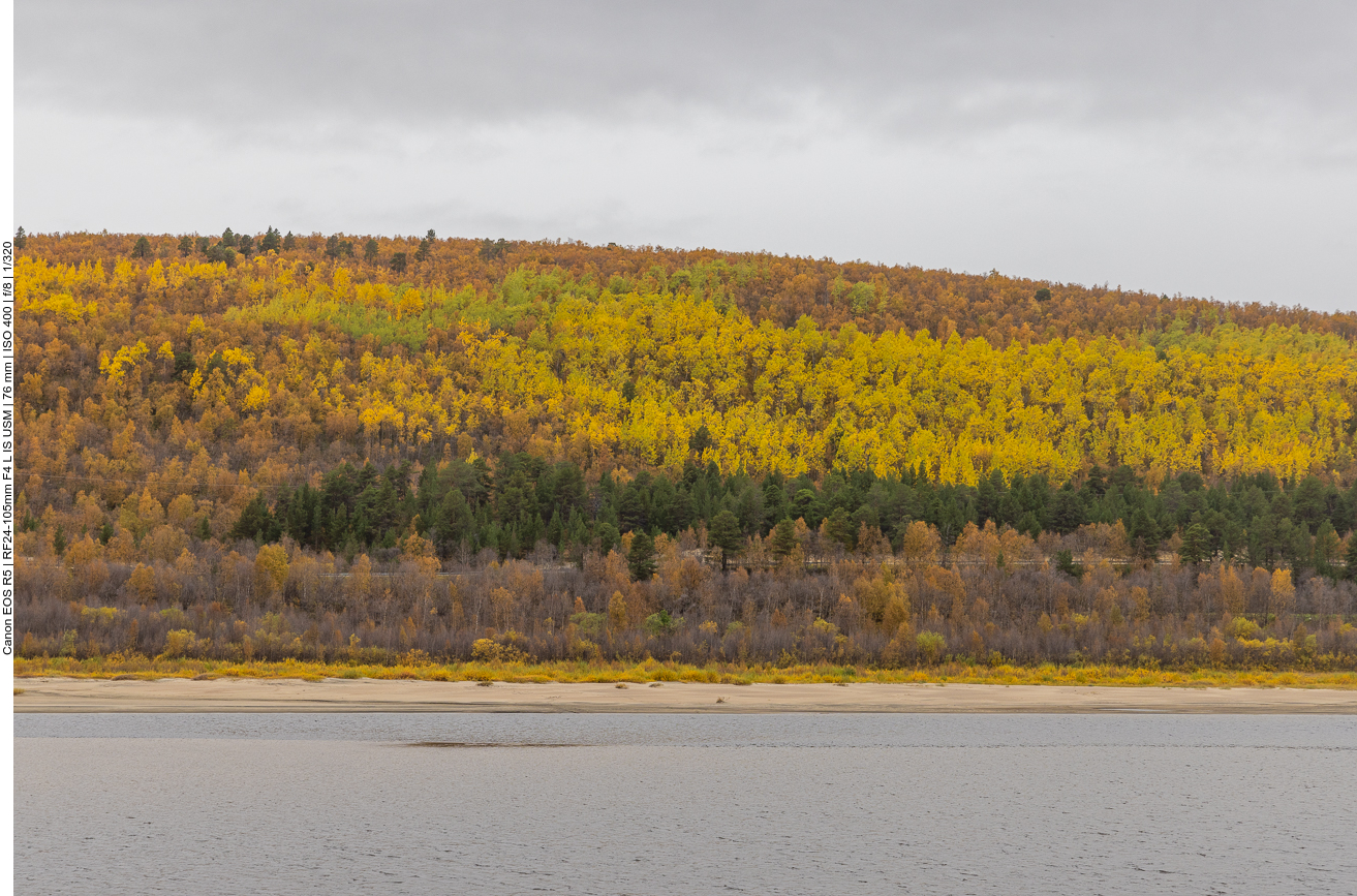 Endlich wieder Bäume zu sehen