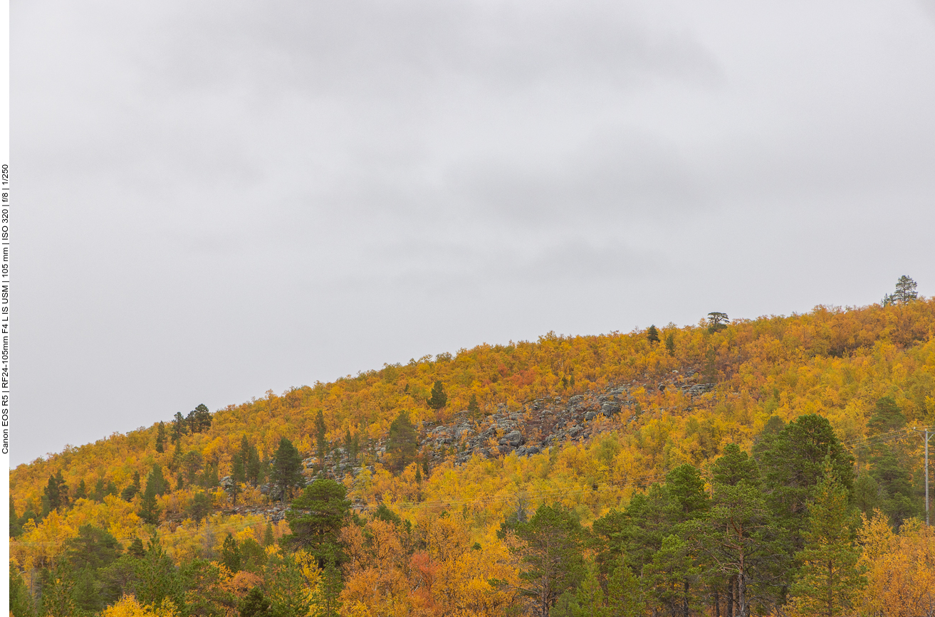 Aber auch Felsen ...