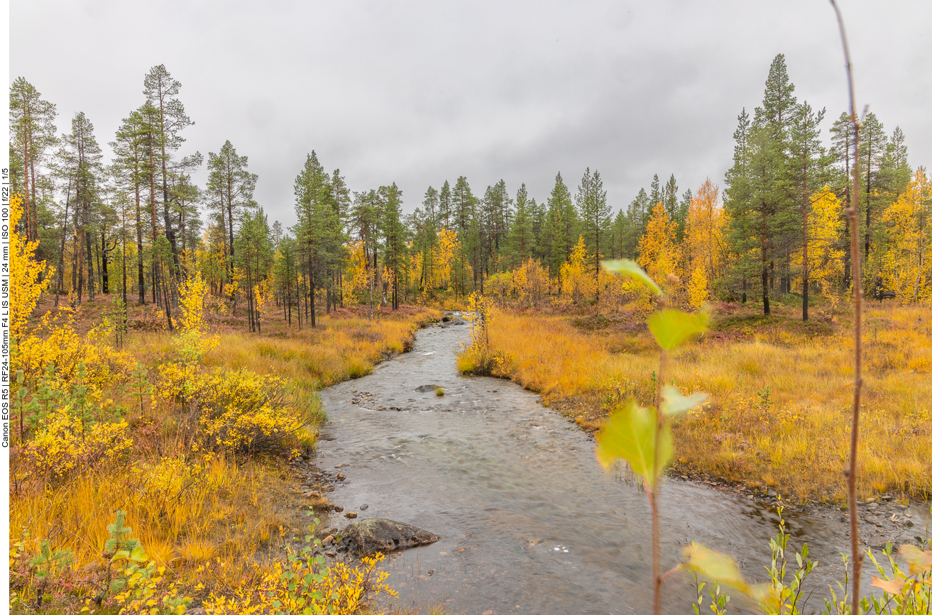 Kleinere und größere Flüsschen ...
