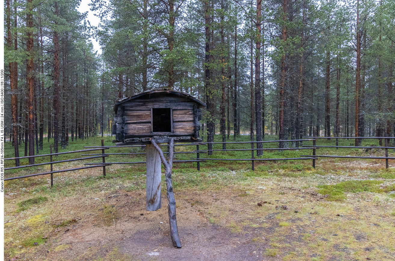 Vorratshaus, wenn man den Stamm entfernt, ist es vor tierischen Räubern sicher 