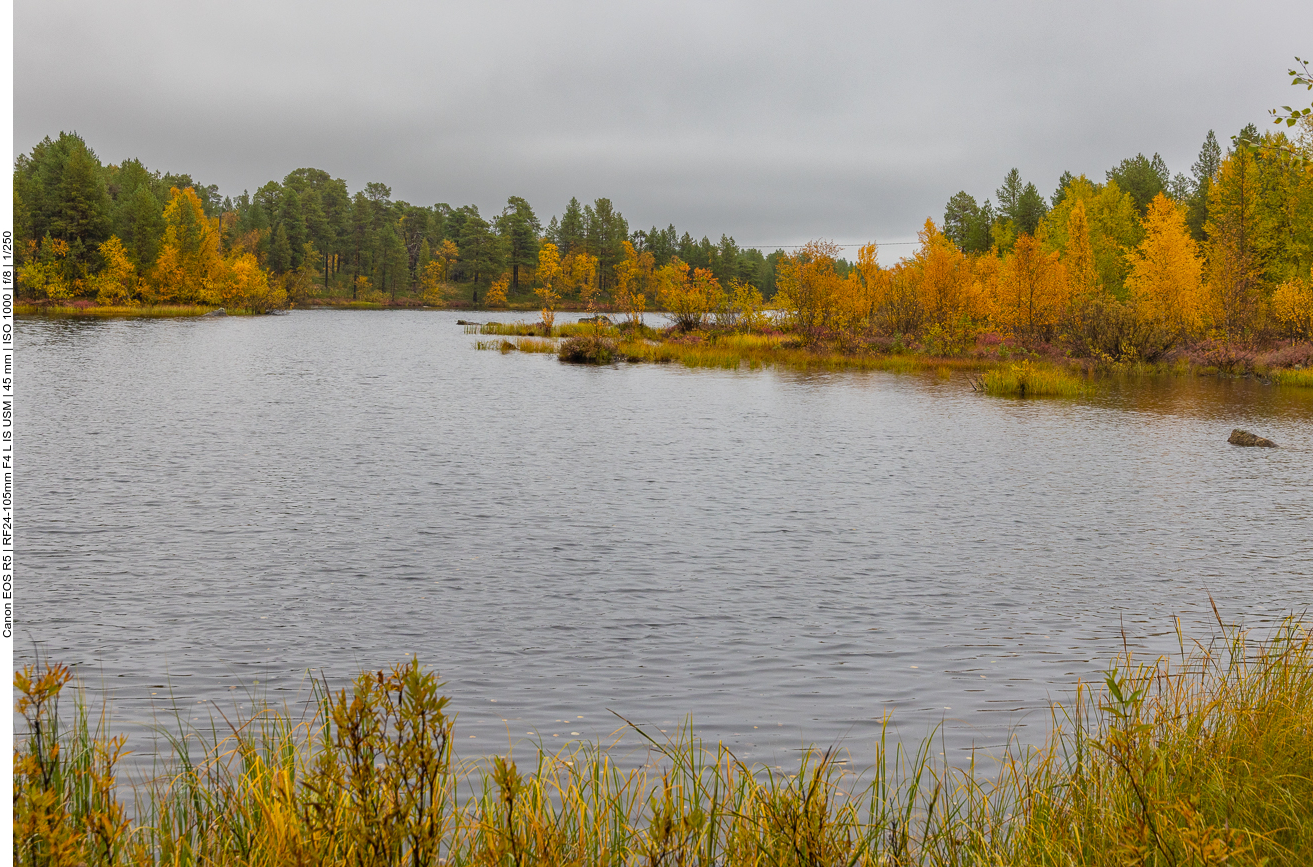 Natürlich ist auch ein See beim Museum ;-)