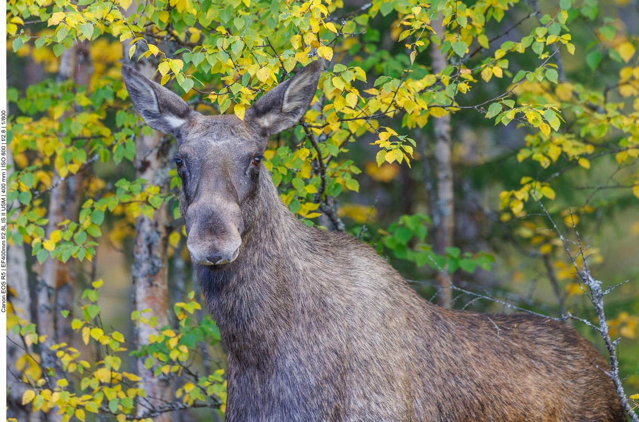... um am Ende doch nochmal in die Kamera zu schauen ;-)