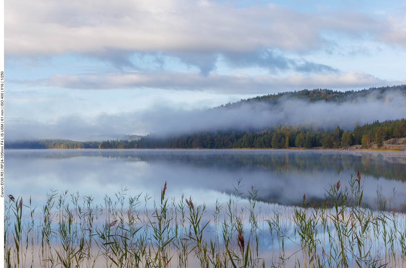 Nebel über dem Halvfardammen