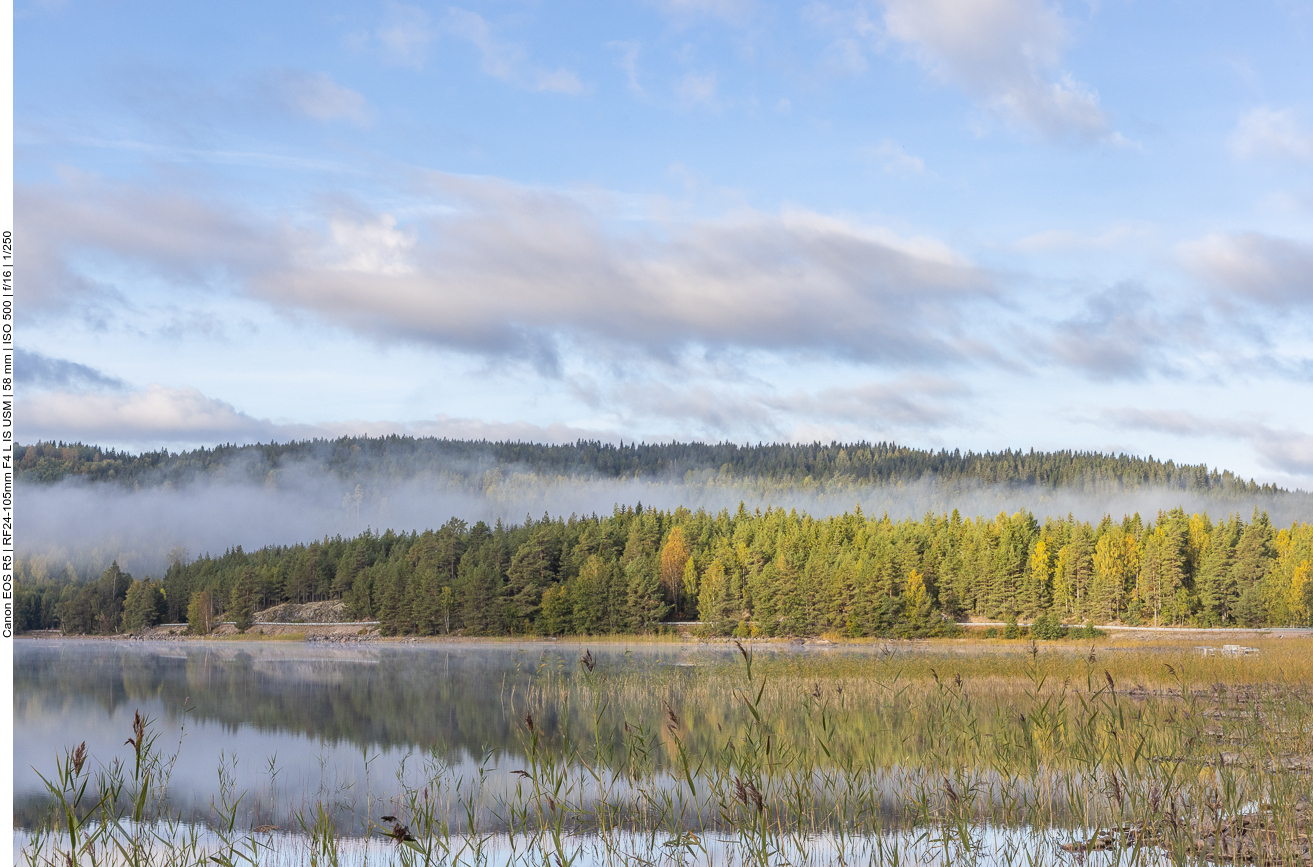 Nebelschwaden über Wald und See