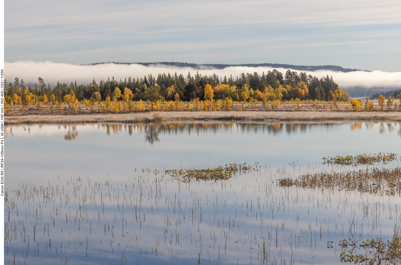 Die Luftfeuchtigkeit sammelt sich zu einer tiefliegenden Wolke ...