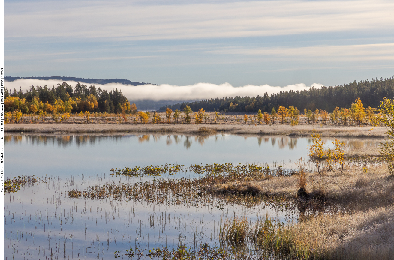 ... und wabert über Wald und See