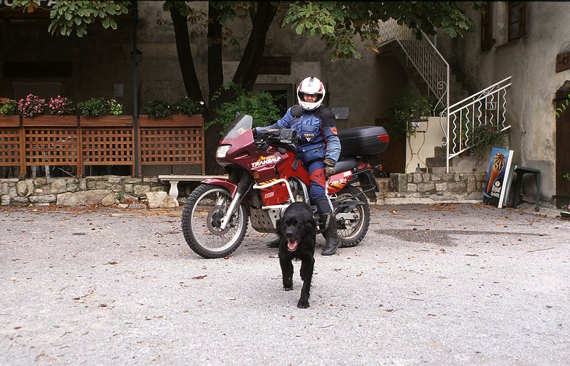 Der Hund ist zwar groß, war aber ganz lieb und verschmust