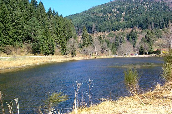 Teich im Tal