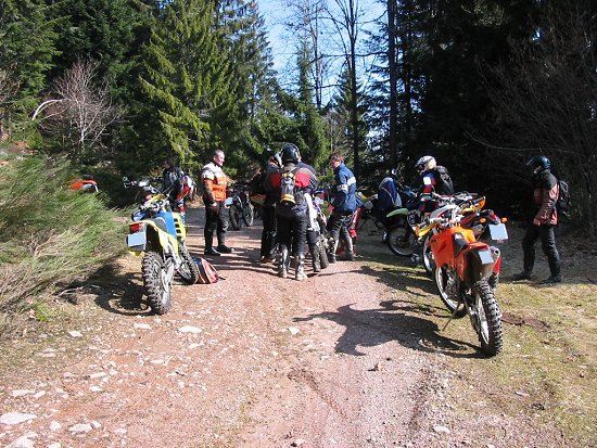 Diskussionen auf dem Waldweg
