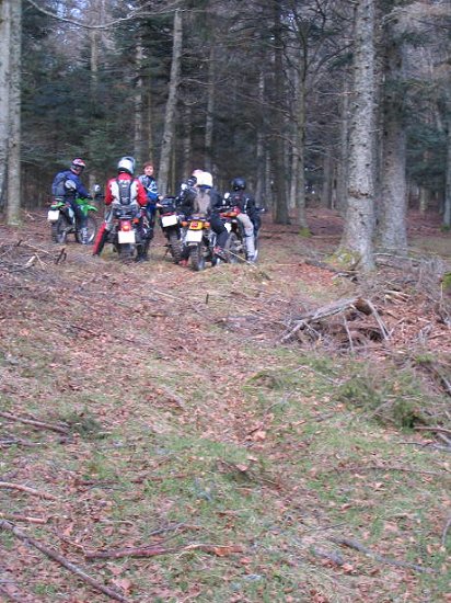 Waldschrate ;-)