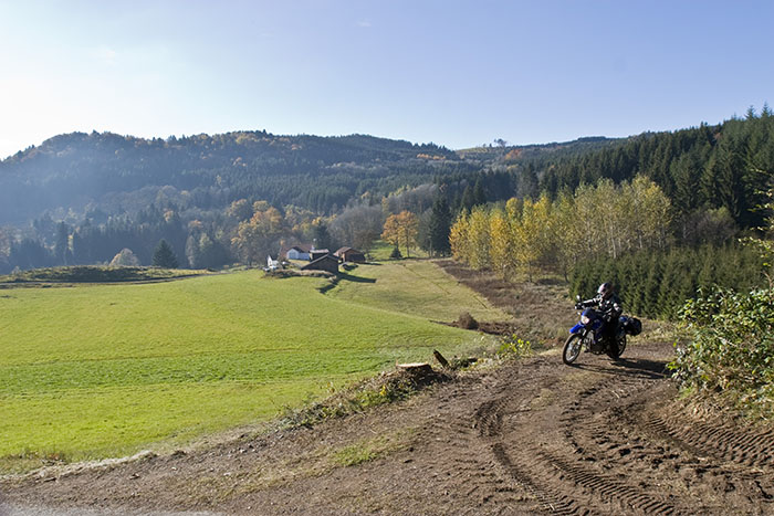 Claudia auf dem Waldweg