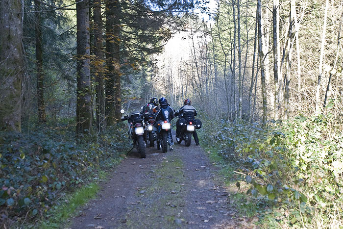 Waldweg, noch die harmlose Variante