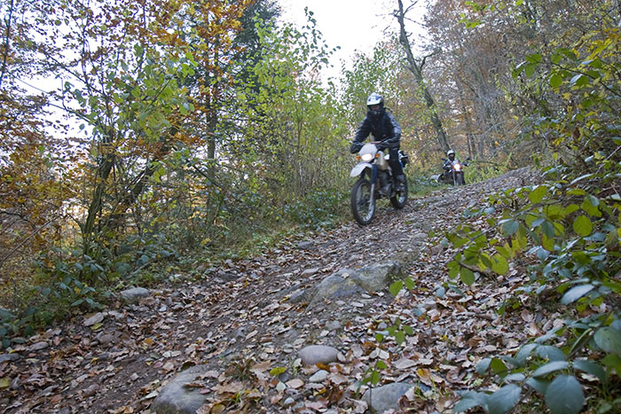Silke auf XR600