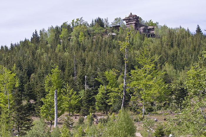 Typische Felsformation in den Nordvogesen