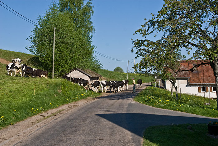 Kleiner Stau