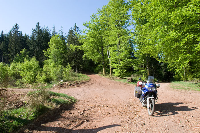 Wieder auf bevorzugtem Terrain