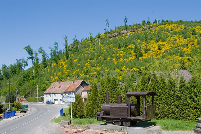 Farbige Landschaft
