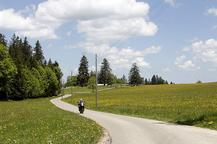 Irgendwo auf den Almen in der Schweiz