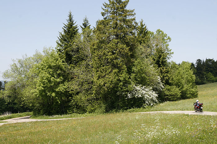 Kleine Wege führen durch die schöne Hügellandschaft