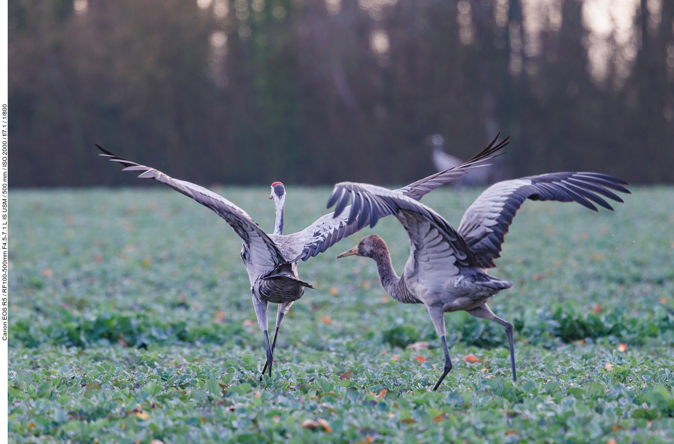 Tanz beendet, Flugbeginn ;-)