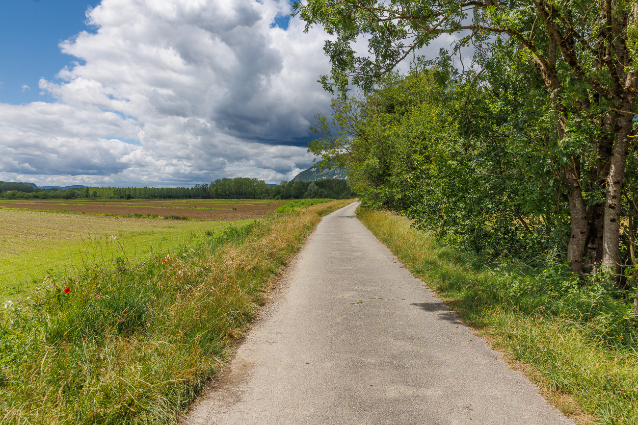 ... und radeln "illegal" auf dem gesperrten Radweg