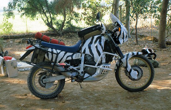Zebra mit Rädern