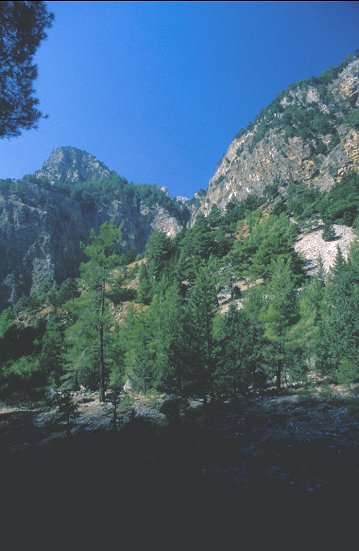In der Schlucht