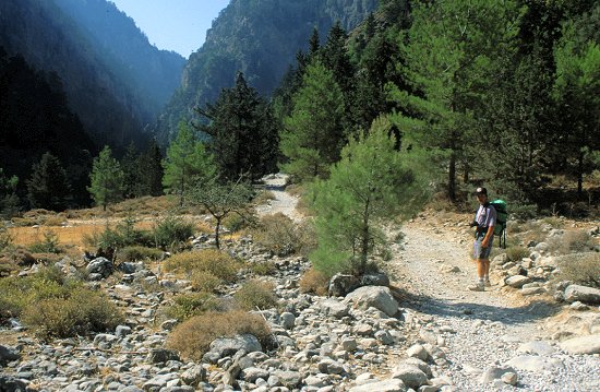 Das Ende der Schlucht ist nicht mehr weit