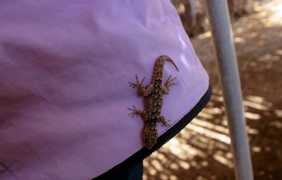 Besucher im Schlafsack ;-)