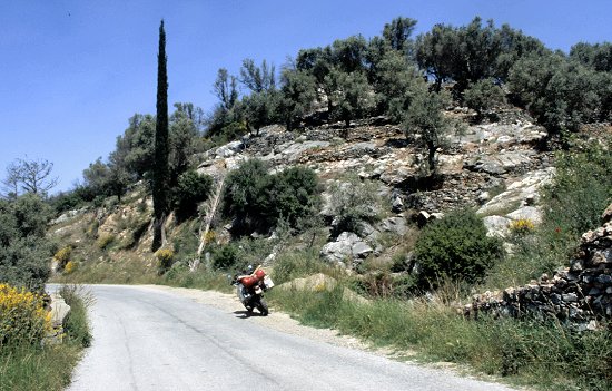 Landschaft auf Samos